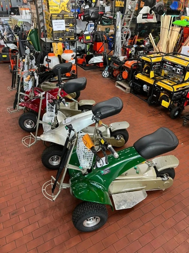 Carro De Golf Triciclo De Golf Carro Electrico