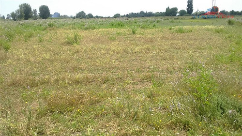 Imagen 11 de 30 de Agrícola En Venta En Linares