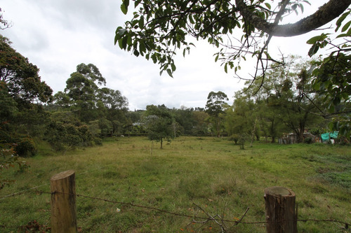 Lote En Guarne, Vereda El Molino