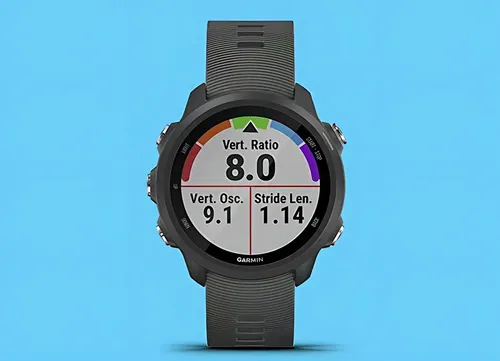Smartwatch Garmin Forerunner 245 Basic 42mm Sport Caixa Cinz