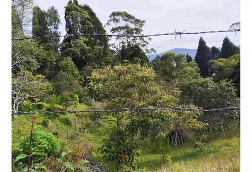 Venta De Lote En Guarne, Vereda Hojas Anchas