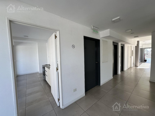Departamento Alquiler Temporario Amoblado Mensual Palermo Monoambiente.