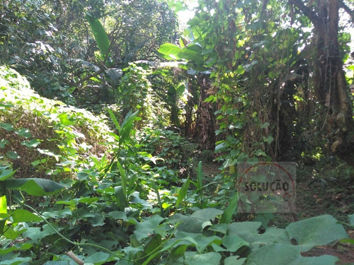 Sítio A Venda No Bairro Quarta Divisão Em Ribeirão Pires - 556-1