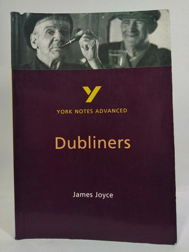 Dubliners: York Notes Advanced