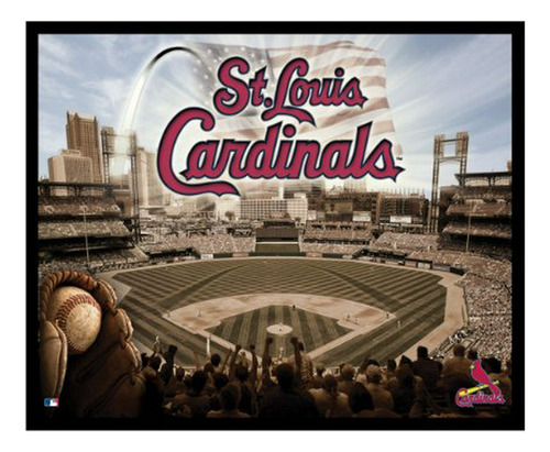 Mlb St. Louis Cardinals Artissimo Team Glory 22 X 28 Lienzo 