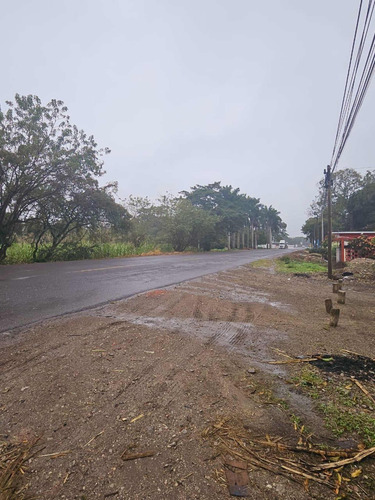 Venta De Terreno A Pie De Carretera En Yanga Veracruz