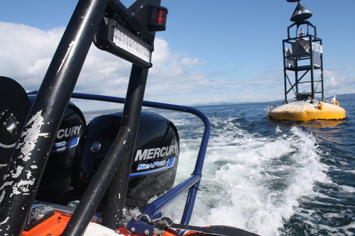 Imagen 6 de 14 de Motor Fuera Borda Mercury 40 Hp 2 Tiempos Pata Larga