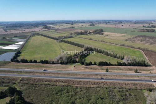 Imagen 3 de 28 de Terreno Fraccion En Venta Ubicado En General Rodríguez, G.b.a. Zona Oeste