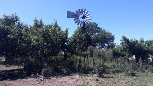 Imagen 11 de 15 de Campo Para Desarrollo Inmobiliario En Los Cardales - Reynolds Propiedades