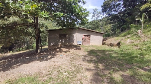 Imagem 1 de 29 de Sete Barras/14 Alq/ Lago/nascente/ac/propostas/ref;05373