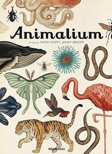 Animalium - Scott Y Broom - Ed. Oceano