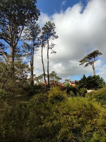 Imagen 3 de 7 de Terreno En Zona Mansa Muy Buen Matraje - Punta Del Este Mansa