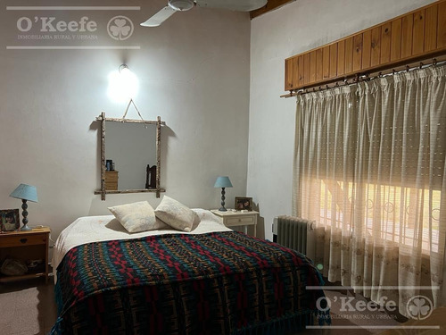 Imagen 10 de 17 de 5 Has En Veronica - Chacra En Venta Con Importante Arboleda