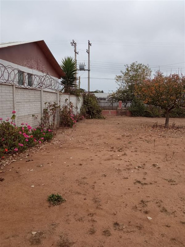 Sitio En Venta En Algarrobo