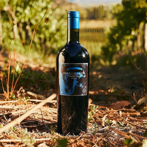 Kit 06 Unidades Vinho Caballo Loco Grand Cru Apalta 750ml