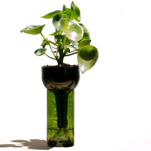 Cuchara Little Plant 24 Sin Soporte, Maceta Autorregante