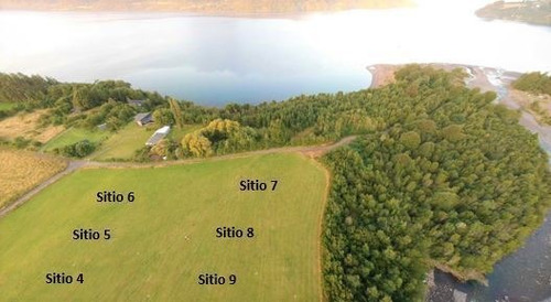 Imagen 4 de 16 de Sitio En Venta En Puerto Octay