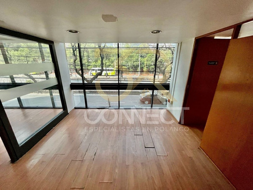 Oficina En Renta En Polanco 5c/2e - Excelente Ubicación - 170m2