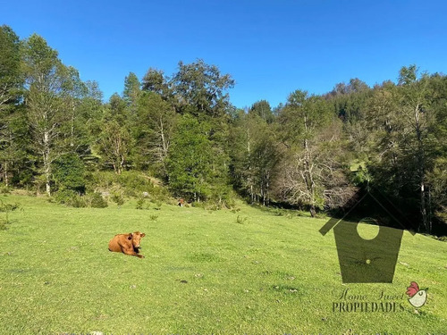 Parcela Con Casa E Instalaciones, 1 Hectarea