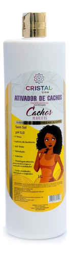 Ativador De Cachos - Cachos Perfeitos Profissional - 1 Litro