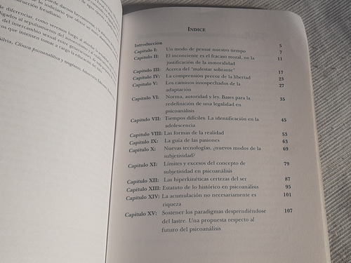 Imagen 6 de 8 de La Subjetividad En Riesgo Silvia Bleichmar Topa