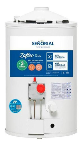 Termotanque Señorial Multigas 30 Litros Gratis Todo El Pais