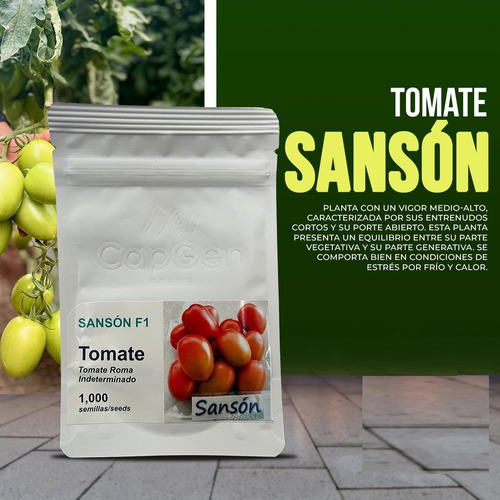 Semilla De Tomate Indeterminado Hibrido Sanson F1 Capgen