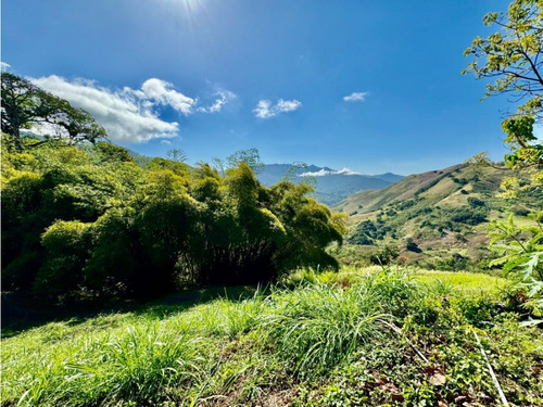 Se Vende Finca 19 Hectareas San Casimiro