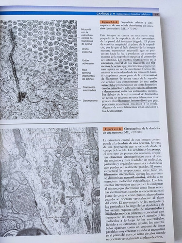 Libro Histologia Correlaciones Clinicas Cui, Dongmei 156j1 (Usado)
