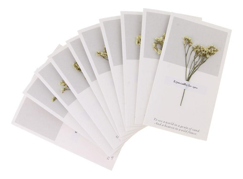 Paquete Flores Secas Tarjetas De Felicitación Amarillo