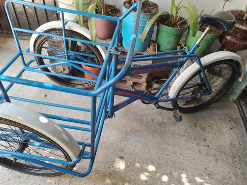 Triciclo De Carga