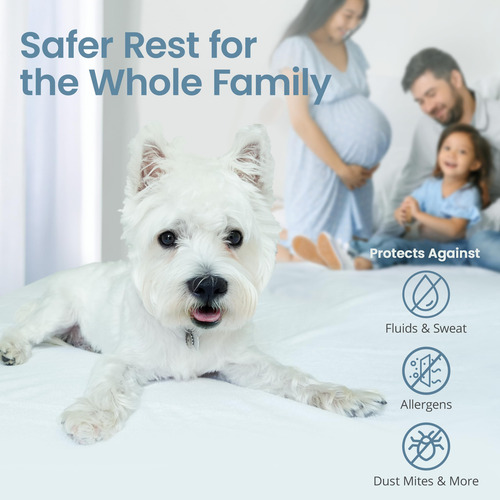 Protector De Colchón Saferest 100% Impermeable Tamaño Queen