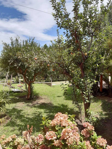 Complejo De Cabañas Merlo San Luis Rincondel Este