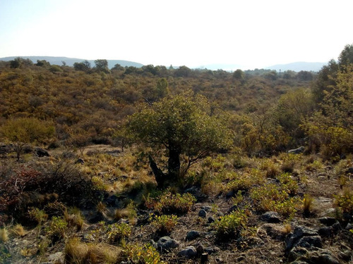 Imagen 13 de 18 de Último Terreno De Altura En Venta De 5.000 M2, Las Rabonas, Traslasierra