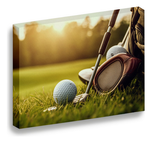 Cuadro Lienzo Canvas Pelota Golf Campo Día Oficina 30*40cm