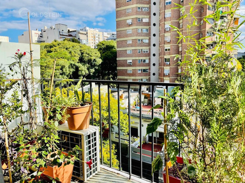 Imagen 6 de 17 de Departamento - Belgrano
