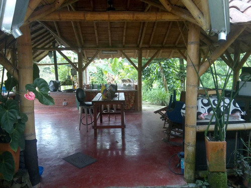 Imagen 22 de 29 de Se Vende Finca Vía Quimbaya