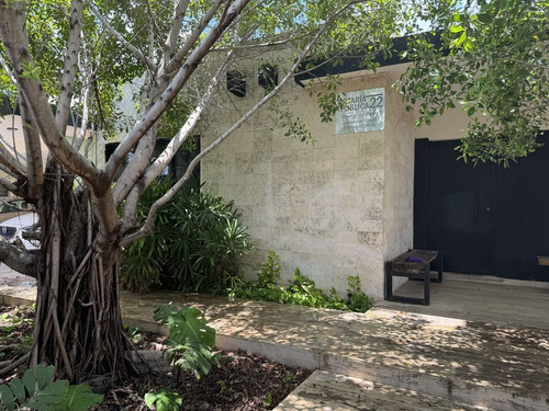 Casa En Renta En San Damian, Ideal Para Oficinas O Notarias