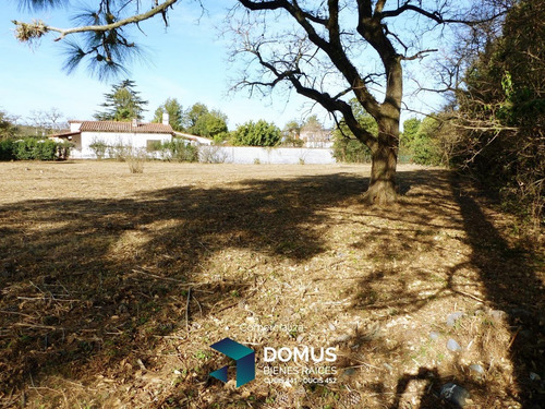 Imagen 6 de 8 de Venta Terreno En Campo Quijano