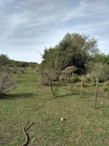 Imagen 13 de 29 de Venta Campo Falda Del Cañete-8,5 Has- Con Vista
