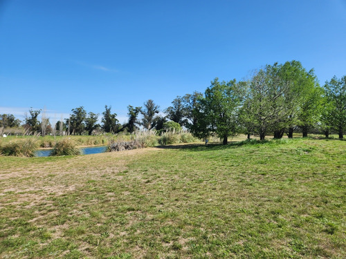 Lote Al Golf Y A Laguna En Everlinks - Lujan