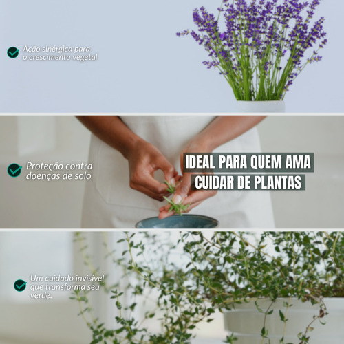 Kit Plantas Solo Vivo 1l Trichoderma Bacillus Casa, Lavoura
