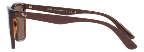Óculos de sol Ray-Ban RB4372 tamanho GG armação marrom