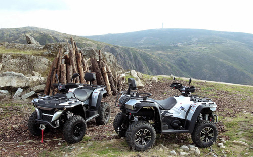 Cuatrimoto 565cc 4x4