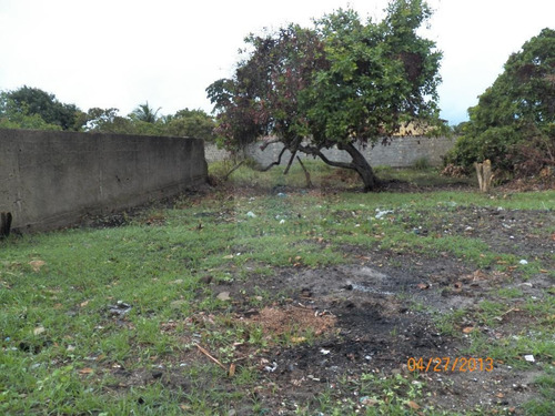 Imagem 6 de 13 de Terreno Em Catuama - Tr-05