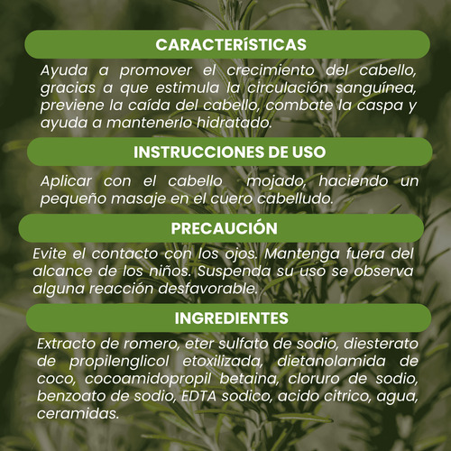 Shampoo Extracto De Romero Rubrial