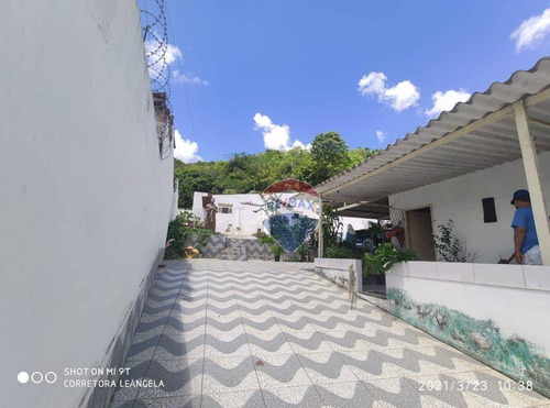 Imagem 5 de 17 de Granja Com Galpão E 6 Casas À Venda Em Felipe Camarão - Natal/rn - Ch0009