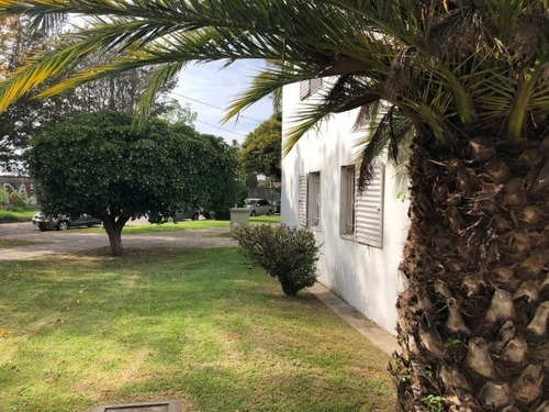 Impecable Departamento 3 Ambientes Quilmes