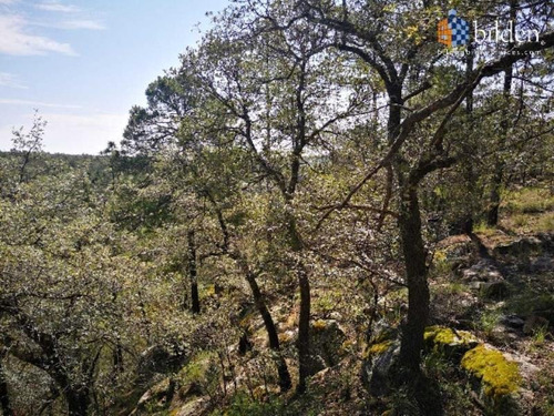 Imagen 4 de 9 de Terreno En Venta Sierra Durango