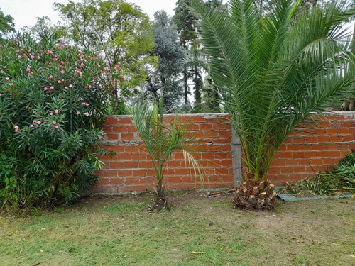 Imagen 12 de 21 de Quinta En Venta ...moreno ...excelente Ubicacion